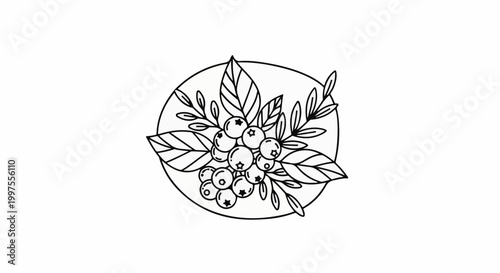 Delicate line art illustration of blueberries with leaves inside an oval frame