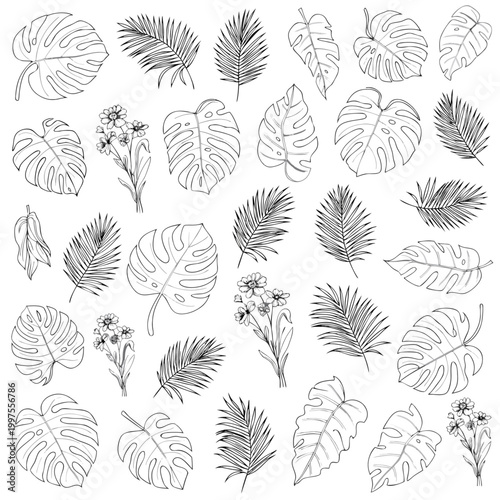 Minimalist line art collection featuring various tropical monstera and palm leaves with delicate flowers, creating a fresh, botanical design element for summer and nature-themed projects.