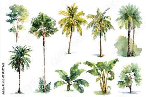 set of palm trees