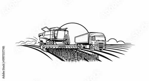 Combine harvester harvests wheat field, loading grain into semi-truck