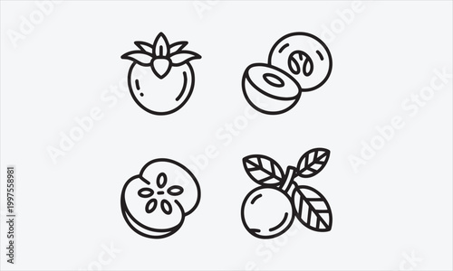 Medlar Line art vector icon set  vector illustration