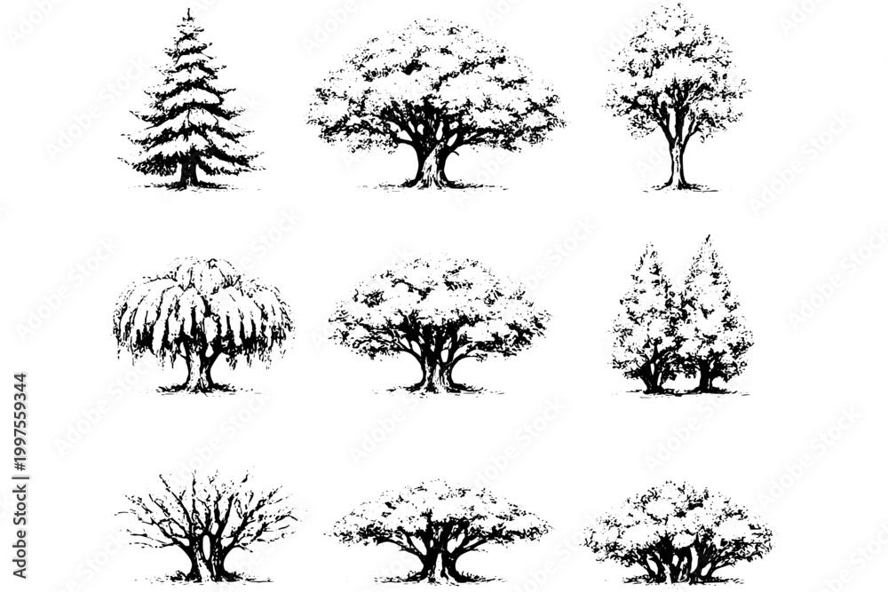 Fototapeta premium Landscape Tree Symbols – Realistic Hand Drawn Collection