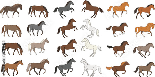 Large horse vector collection featuring various breeds and colors in action poses like running, jumping, rearing, and grazing for equestrian sports, ranching, and farm animal illustrations.