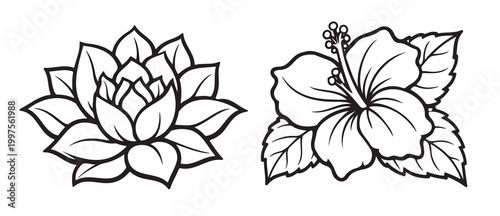 Set of two hand drawn floral line art designs featuring a blooming lotus and a tropical hibiscus flower with leaves isolated on white background for coloring book pages and craft projects
