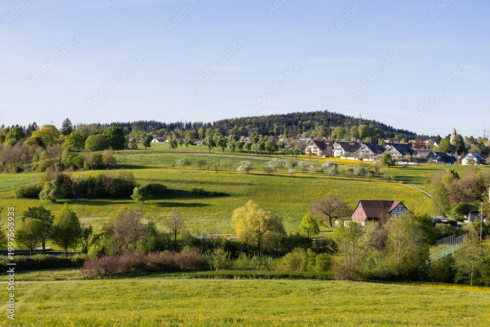 Obraz premium Green countryside landscape in Switzerland