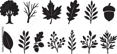 黒背景に浮かぶ葉のシルエット素材・ナチュラルでシンプルな植物背景