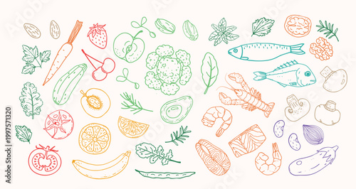 Colorful line art food ingredients set with fresh vegetables, fruits, fish, seafood, herbs, nuts and legumes. Hand drawn multicolor outline vector collection for healthy nutrition, cooking, menu and o