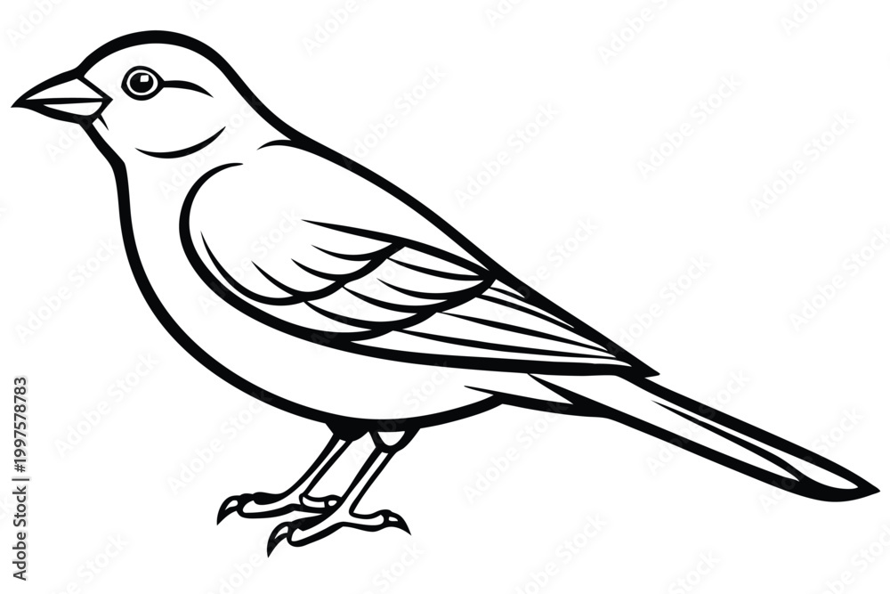 Obraz premium finch bird silhouette line art vector illustration with a white background