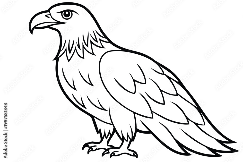 Fototapeta premium eagle bird silhouette line art vector illustration with a white background