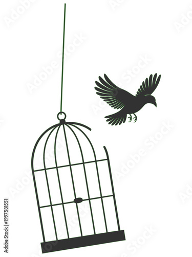 Bird flying free from open cage vector illustration on transparent background symbolizing freedom and release.