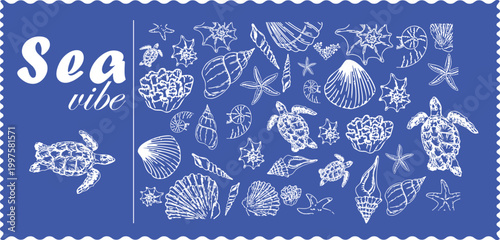 sea turtle coral and shell sketches marine theme