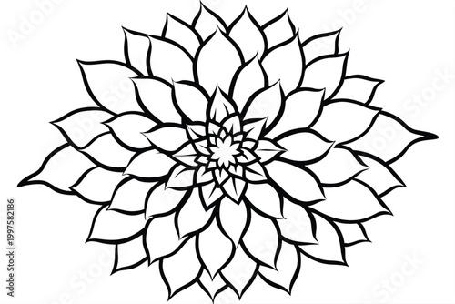 dahlia flower silhouette line art vector illustration with a white background