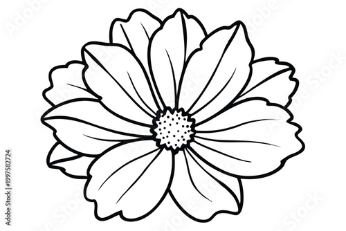 cosmos flower silhouette line art vector illustration with a white background