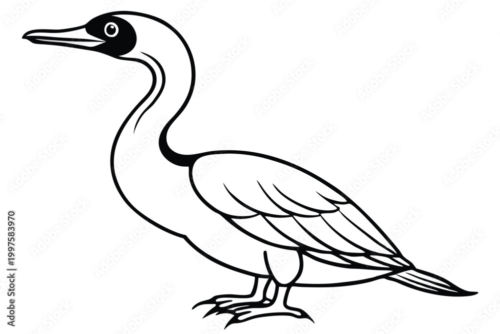 Fototapeta premium cormorant bird silhouette line art vector illustration with a white background
