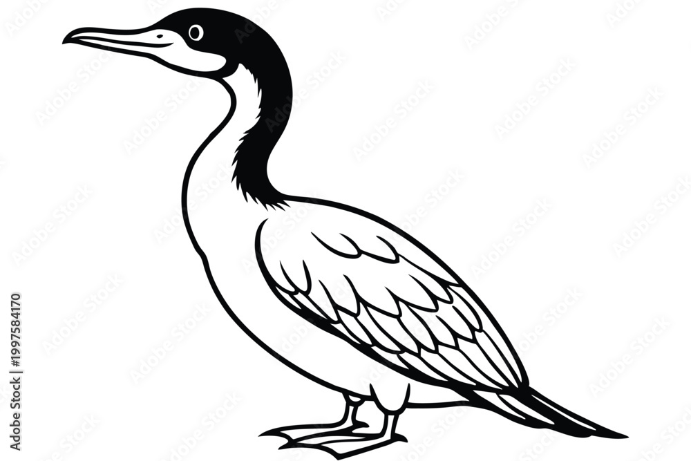 Fototapeta premium cormorant bird silhouette line art vector illustration with a white background