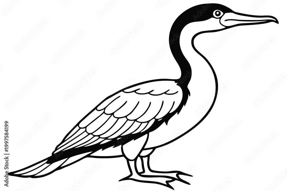 Fototapeta premium cormorant bird silhouette line art vector illustration with a white background