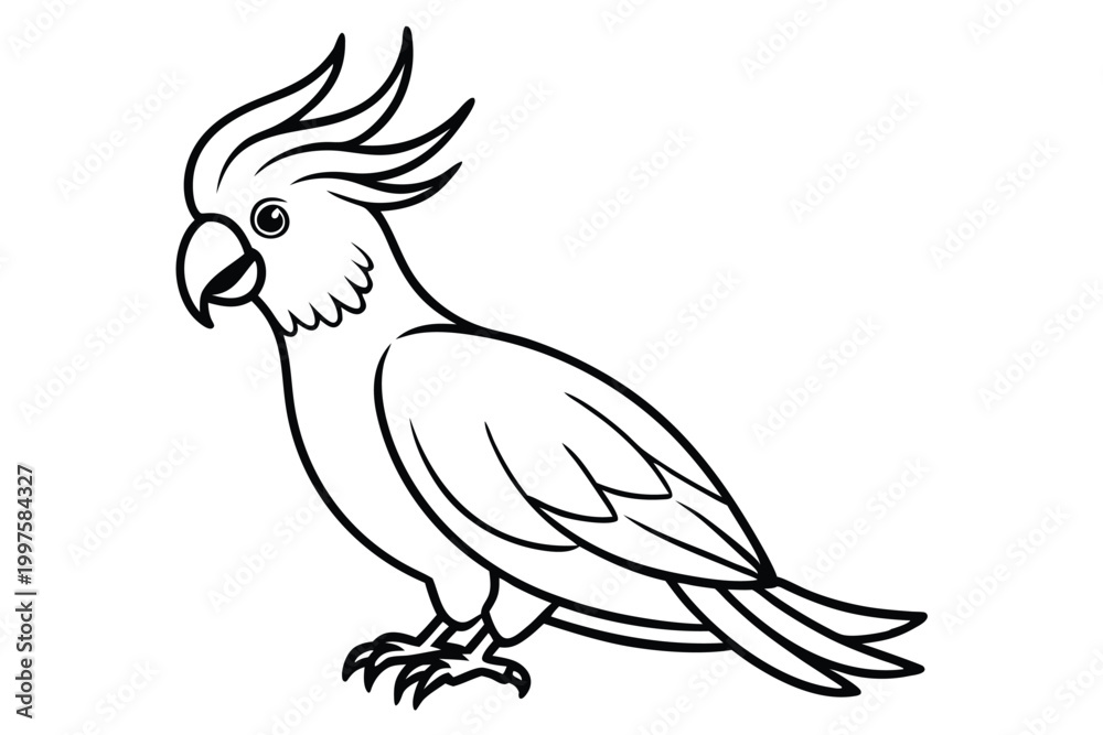 Fototapeta premium cockatoo bird silhouette line art vector illustration with a white background