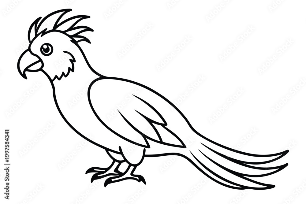 Fototapeta premium cockatoo bird silhouette line art vector illustration with a white background