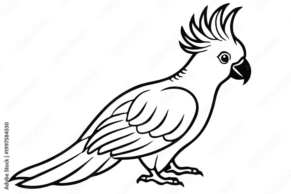 Obraz premium cockatoo bird silhouette line art vector illustration with a white background