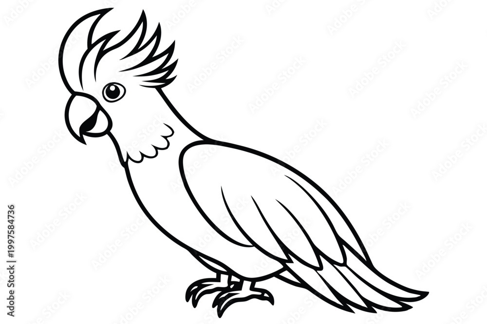 Obraz premium cockatoo bird silhouette line art vector illustration with a white background