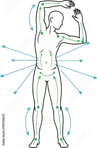 Human body outline with stretching arrows (flexibility concept)