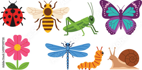 Colorful Insects and Flowers Including Ladybug, Bee, Grasshopper, Butterfly, Dragonfly, Caterpillar, Snail, and Flower for Nature and Wildlife Designs