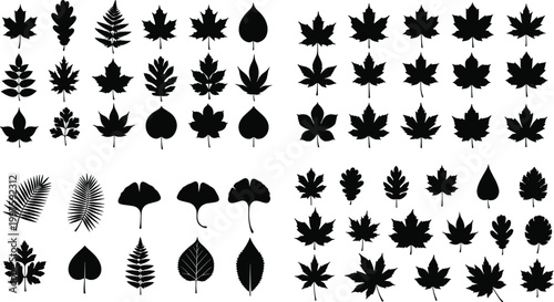 Leaf silhouette collection with various tree foliage shapes, botanical elements and nature leaves isolated on white background vector set