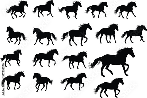 Canvas Print Running horse silhouette collection with galloping poses, wild equine animals is