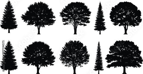 Comprehensive Collection of Ten Diverse Tree Silhouettes Featuring Coniferous and Deciduous Species for Architectural Visualization and Nature Inspired Graphic Design Projects