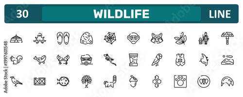 wildlife outline icon set featuring jaima tent, herb, manta ray, tapir icons.