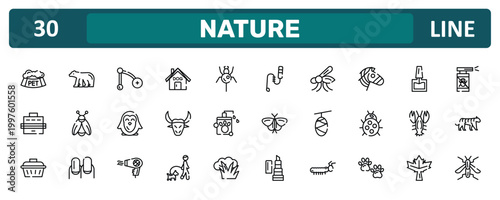 nature outline icon set featuring pet bowl, zebra, lobster, wasp icons.