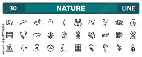 nature outline icon set featuring elephants, turban, cobweb, pine icons.