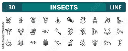 insects outline icon set featuring stroller, crioceris, fox, stick insect icons.
