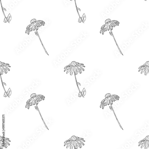 Fotografi Daisy, Black-eyed Susan seamless pattern in detailed line art style