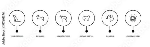 Tableau sur toile insects outline icon set featuring yorkshire terrier, dog scaping, dog licking, spider black widow icons