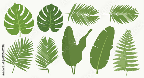 Green tropical leaves flat lay vector collection monstera palm banana foliage isolated on white background