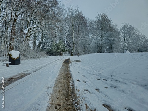 Urban winter scene. road covered with snow. Scenic image of spruces trees. Winter landscape - wooden house in snowy forest. Vertical photo. wooden bridge covered with snow.