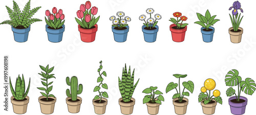 Potted plants and flowers illustration set with indoor greenery cactus succulents and blooming decorative houseplants vector collection