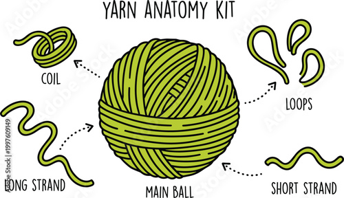 Yarn Anatomy Diagram Vector Illustration Showing Main Ball Coil Loops Long Strand and Short Strand for Knitting Education Textile Craft and DIY Guide