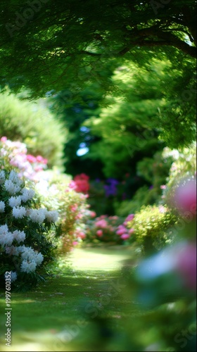 shrub. Sunlit garden with vibrant flowers and lush greenery, dappled light th...
