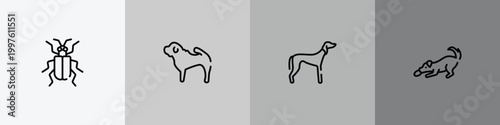 dog and training outline icon set featuring asparagus beetle, shar pei, saluki, dogs playing icons.