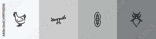 insects outline icon set featuring hen, seesaw, plankton, leaf insect icons.