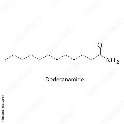 Dodecanamide skeletal structure. amide compound schematic illustration. Simple diagram, chemical formula.