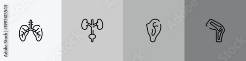 body parts outline icon set featuring lungs with the trachea, excretory system, ear, kneecap icons.