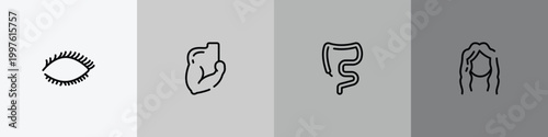 body parts outline icon set featuring eye with lashes, muscular arm, large intestine, long wavy hair icons.