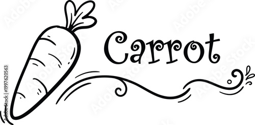 Hand drawn carrot icon with decorative text for food marketing and packaging design