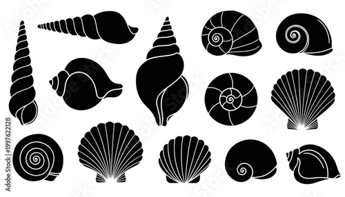 minimalist vector illustration ocean marine seashells coastal graphic