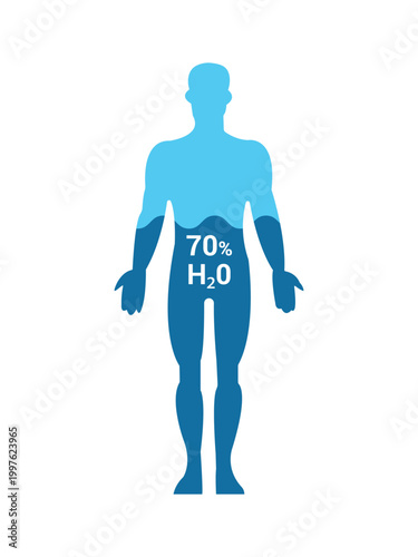 Human body water level. The importance of hydration. Good amount of Water level keeps the body functioning properly. Body water percentage and ratio. vector healthcare illustration.