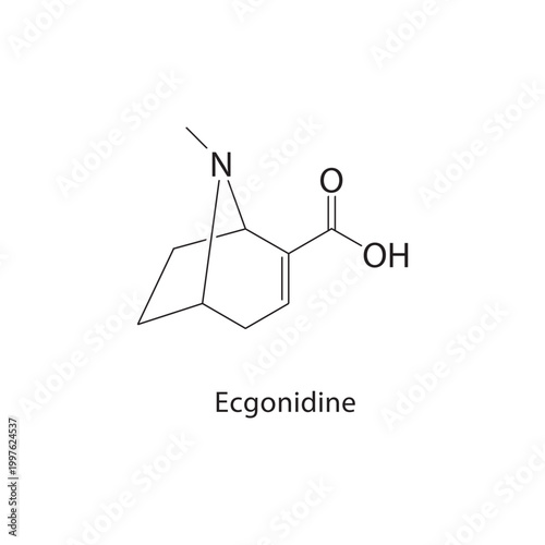 Ecgonidine skeletal structure. alkaloid compound schematic illustration. Simple diagram, chemical formula.
