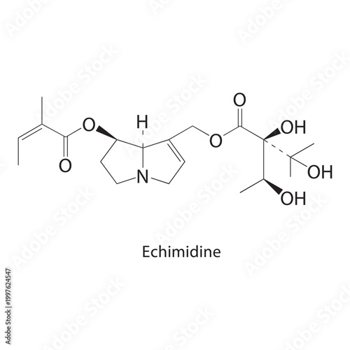 Echimidine skeletal structure. alkaloid compound schematic illustration. Simple diagram, chemical formula.
